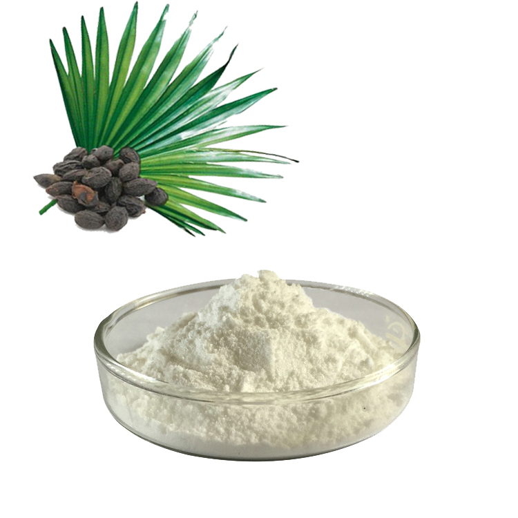 ¿Qué es el extracto de Saw Palmetto? ¿Y cuál es el beneficio del extracto de Saw Palmetto?